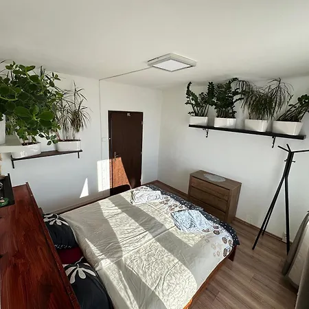 Private Rooms, Stunning Views, Top-floor With Balcony, Bathtub, Internet, Coffee